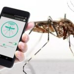 Cara Mengusir Nyamuk dengan HP Panduan Jujur, Masuk Akal, dan Efektif