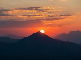 Ide Caption Pagi Hari Aesthetic untuk Mencerahkan Media Sosial Anda