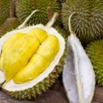 Durian Musang King: Rasa Premium, Harga Tinggi, dan Fakta Pentingnya