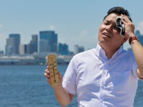 Gelombang Panas: Penyebab, Dampak, dan Cara Menghadapinya