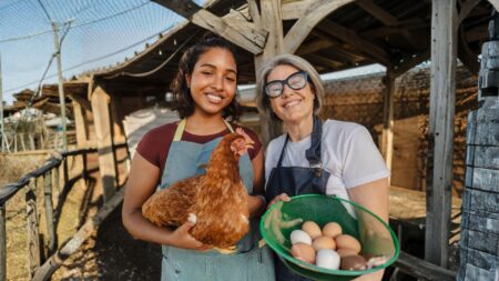 Harga Telur Peternak Rakyat: Faktor yang Mempengaruhi, Tren Pasar, dan Cara Menjaga Stabilitas