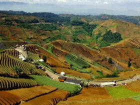 Apakah Kota Majalengka Termasuk Terpanas di Indonesia? Fakta Iklim dan Penyebab Suhu Tinggi