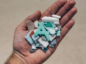 Mikroplastik: Dampak, Sumber, dan Cara Mengurangi Paparan dalam Kehidupan Sehari-hari