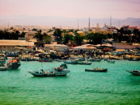 Somalia: Sejarah, Kondisi Terkini, dan Fakta Menarik tentang Negara di Afrika Timur