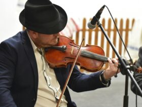 Mengenal Alat Musik Biola (Violin) yang Digesek: Sejarah, Cara Main, dan Tips Belajar