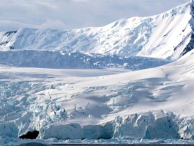Antartika: Fakta, Misteri, dan Peran Penting Benua Paling Dingin di Dunia