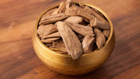 Kayu Gaharu: Panduan Lengkap Manfaat, Nilai, dan Cara Memilih yang Berkualitas