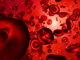 Penyebab Trombosit Turun: Kenali Faktor, Gejala, dan Cara Mengatasinya