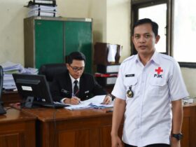 Perbedaan P3K dan PNS: Status, Hak dan Kewajiban yang Berbeda